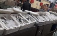 أسعار الأسماك اليوم بسوق العبور