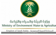 للسعوديين..وظائف جديدة بوزارة البيئة والزراعة.. اعرف موعد التقديم