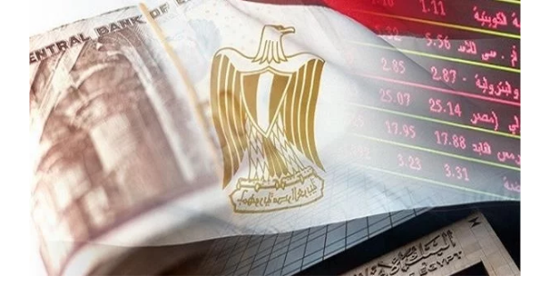 فرج عبد الله: البرنامج الاقتصادى يسير بخطى ثابتة..فيديو