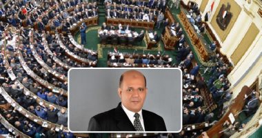 النائب طارق متولى يهاجم غرفة دباغة الجلود