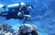 مدينة برنيس بمرسى علم أجمل الوجهات السياحية فى مصر