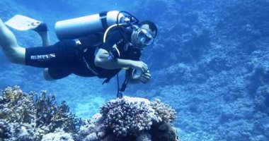 مدينة برنيس بمرسى علم أجمل الوجهات السياحية فى مصر