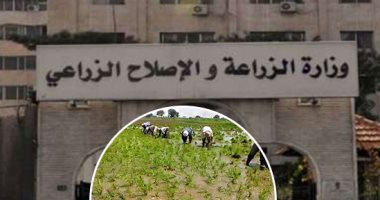 حملات لرصد أى حالات مرضية للخضر بسب سوء الطقس