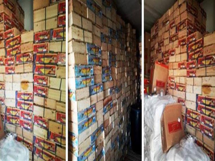 ضبط نصف طن رنجة غير صالحة للاستهلاك الآدمى بميت غمر
