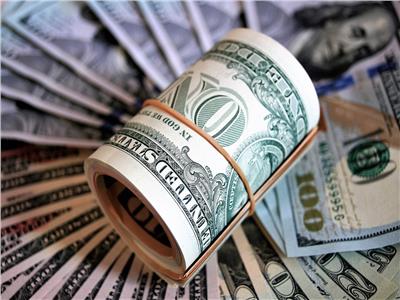 سعر الدولار أمام الجنيه المصري في البنوك 19 يناير
