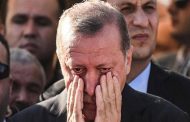 برلماني: أردوغان يكذب كما يتنفس