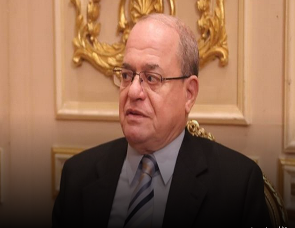 برلماني: إنجازات مصر في أفريقيا تؤكد استعادة القاهرة لدورها الريادي