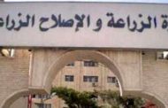 الزراعة تعلن خطتها لزيادة إنتاج الألبان عبر التوسع فى مراكز التجميع