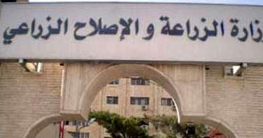 الزراعة تعلن خطتها لزيادة إنتاج الألبان عبر التوسع فى مراكز التجميع