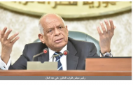 عبد العال يرد على صحة إجراءات استجواب هالة زايد