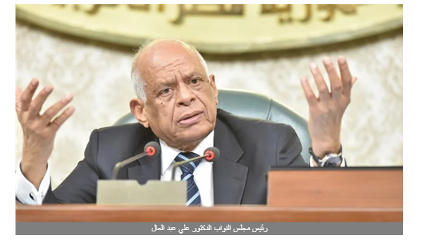 عبد العال يرد على صحة إجراءات استجواب هالة زايد