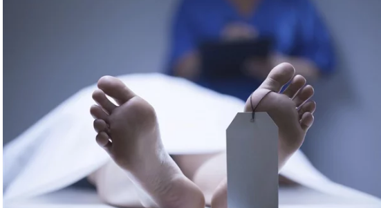 مقيد بكوفية.. العثور على جثة مسن داخل شقته في بني سويف