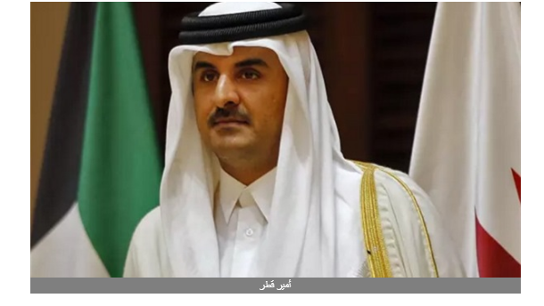 نائب: أمير قطر يدفع أموال شعبه إلى أردوغان لاحتلال ليبيا