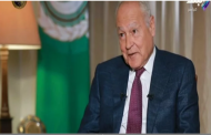 الجامعة العربية: مصر يهمها تأمين حدودها مع ليبيا من الإرهاب.. فيديو