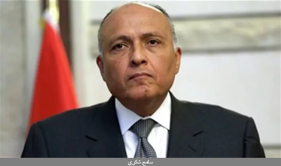 سامح شكري يتوجه إلى الجزائر على رأس وفد رفيع المستوى