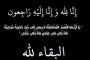 كاتدرائية ميلاد المسيح بالعاصمة الجديدة تتزين استعدادا لقداس عيد الميلاد