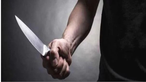 مذبحة في الطالبية.. تفاصيل تمزيق سائق لـ زوجته وأسرتها بعد رفض عودتها له