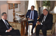 وزير خارجية الصين: ندعم مصر في الحفاظ على سيادتها ولعب دور أكبر في الشأن الدولي والإقليمي