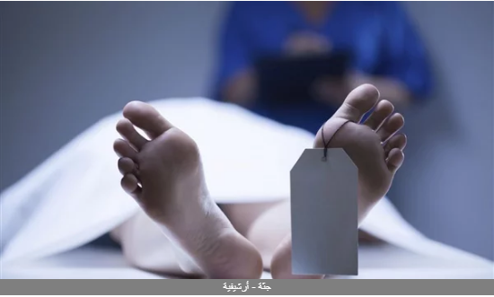 رسالة خطف على الفيسبوك.. الداخلية تكشف تفاصيل اختفاء سيدة بالدقهلية