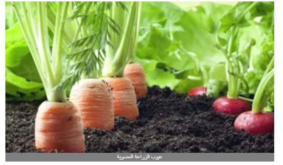 بعد المطالبة بمناقشتها بالبرلمان.. الفلاحين توضح أهم مزايا وعيوب الزراعة العضوية