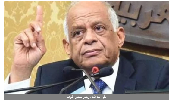 وزيرة الصحة تنجو من مقصلة سحب الثقة.. رئيس النواب يعلن الانتقال لجدول الأعمال