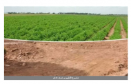 زراعة البرلمان تفتح ملف مشروع المليون ونصف فدان الأسبوع المقبل