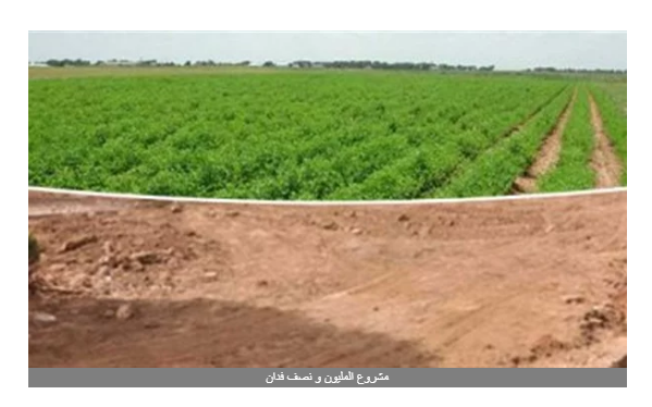 زراعة البرلمان تفتح ملف مشروع المليون ونصف فدان الأسبوع المقبل