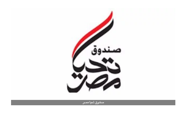 نائب: صندوق تحيا مصر الذراع الأيمن للحكومة في تنفيذ المبادرات لصالح الفئات الأكثر احتياجا