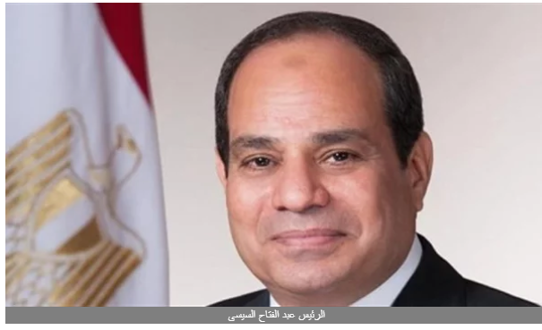 السيسى يكلف الحكومة باتخاذ حزمة إجراءات إضافية لتحقيق سلامة المصريين