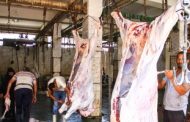 رقابة مشددة على أسواق اللحوم بالجيزة و205 آلاف رأس مذبوحات طيور وماشية