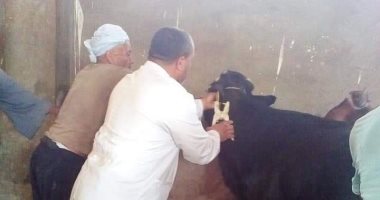   تحصين 1.6 مليون رأس ماشية ضد 5 أمراض وبائية