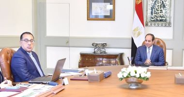 السيسى يوجه بمواصلة تنفيذ مشروعات الربط الكهربائي مع دول الجوار