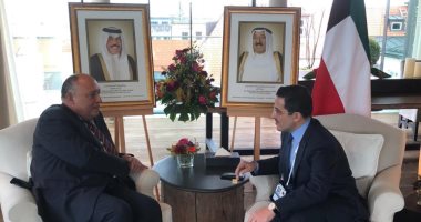 وزير الخارجية ونظيره الكويتى يتفقان على رفض التدخلات الإقليمية فى شؤون العرب