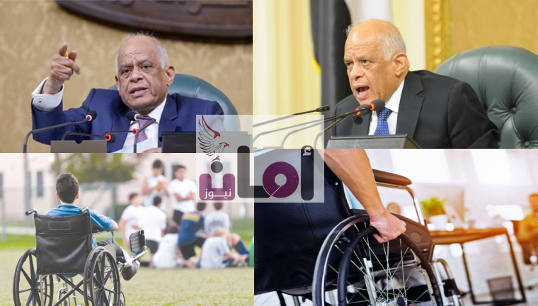 مجلس النواب والشعب.. ما قدمه البرلمان لذوي الأعاقة