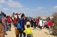محمية وادى الريان تستقبل 54 ألف زائر خلال عطلة نصف العام