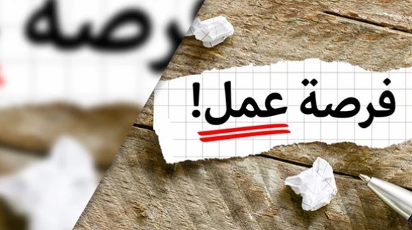 فرص عمل .. وظائف خالية بمديرية التضامن الاجتماعي في شمال سيناء.. اعرف موعد التقديم
