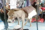 البرلمان يحيل لمجلس الدولة تشريعا ينظم ساحات انتظار السيارات