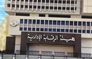 جهود مصرية وعام من الإنجازات الإفريقية فى مجال بناء القدرات والحوكمة والإدارة الرشيدة