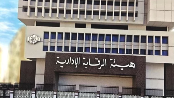 جهود مصرية وعام من الإنجازات الإفريقية فى مجال بناء القدرات والحوكمة والإدارة الرشيدة
