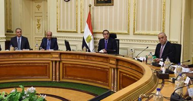 الحكومة: إجازة الصيادلة وأطباء الأسنان للعمل بالخارج أو تجديدها دون اشتراطات