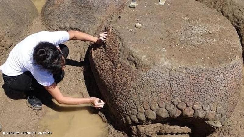 حيوان بحجم سيارة.. اكتشاف موطن 