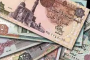 موقع دعم مصر يستقبل طلبات أصحاب بطاقات التموين لتسجيل رقم المحمول