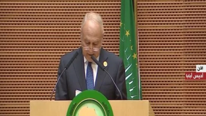 أحمد أبو الغيط: قدمنا كافة المساعي لخطوات الانتقال السلمى في السودان