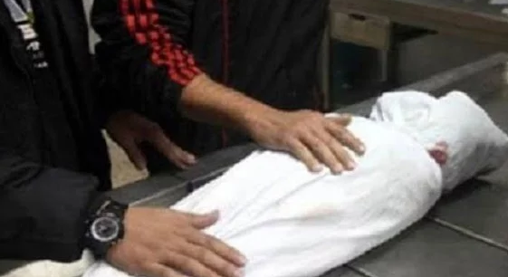 مصرع طفلة أسفل عجلات سيارة نقل بحدائق الأهرام