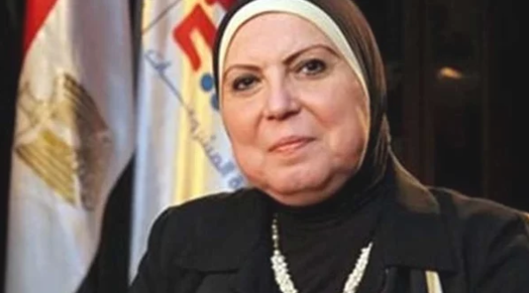 وزيرة الصناعة: 9 ملايين جنيه لتوصيل الكهرباء إلى المجمع الصناعي بالمحلة