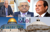 البرلمان على خطى الدولة المصرية.. دعم تاريخي مستمر لحقوق الشعب الفلسطيني
