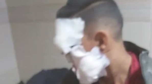 عودة الروح إلى ضحية سرقة الكلب.. استئناف الإسكندرية تأمر بحبس بلطجي المنتزة 15 يوما.. تفاصيل