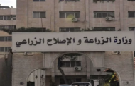 الزراعة تنصح الفلاحين باتباع عدة توصيات لمواجهة التقلبات الجوية