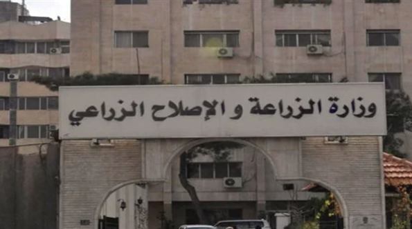 الزراعة تنصح الفلاحين باتباع عدة توصيات لمواجهة التقلبات الجوية
