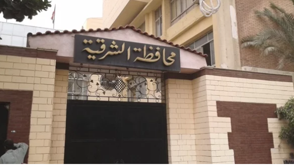 كل ما تريد معرفته عن مشروع تسمين البتلو بالشرقية..شروط وتفاصيل